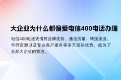 大企业为什么都偏爱电信400电话办理