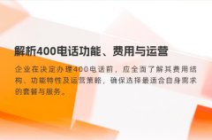 解析400电话功能、费用与运营