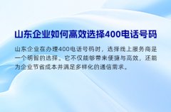 山东企业如何高效选择400电话号码