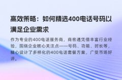 高效策略：如何精选400电话号码以满足企业需求