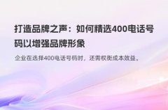 打造品牌之声：如何精选400电话号码以增强品牌形象