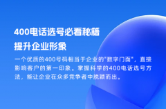400电话选号必看秘籍，提升企业形象