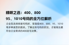 精明之选：400、800、95、1010号码的全方位解析