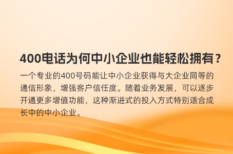 400电话服务商选择指南：代理级别的重要性