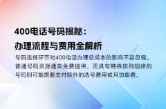 400电话号码揭秘：办理流程与费用全解析