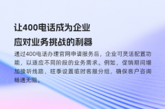 让400电话成为企业应对业务挑战的利器