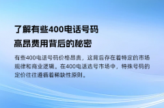 了解有些400电话号码高昂费用背后的秘密